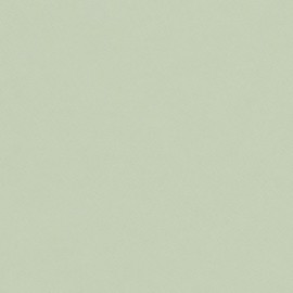 Lichtgroen Linoleum op maat | 4183 Pistachio | Forbo Linoleum