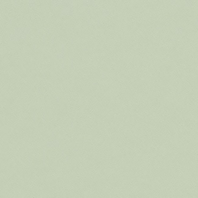 Lichtgroen Linoleum op maat | 4183 Pistachio | Forbo Linoleum
