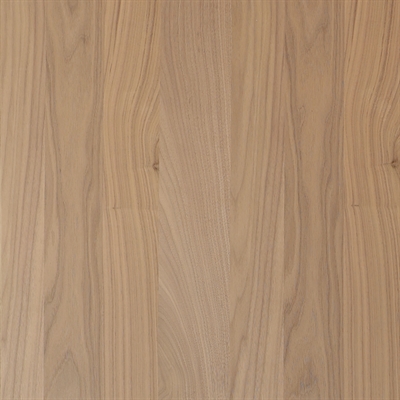 NIET-Akustikk Clear Panel - Ubehandlet Amerikansk Valnøtt 60 x 120 cm