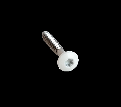 Metalen montageschroef met witte ronde kop en torx-aandrijving