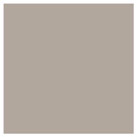 Fenix Laminaat Beige Arizona